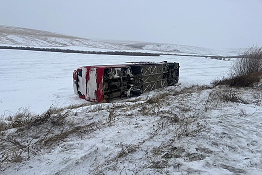 В Забайкалье в ДТП попал автобус с вахтовиками, наехав на животное