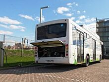 Первый электробус в Липецке пустят уже в сентябре
