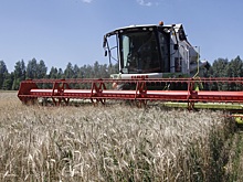 Пошли на рекорд: Сеченовский район стал лидером по урожаю зерна