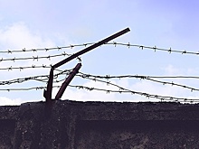 В Самаре нашли мертвым кикбоксера, арестованного за убийство Екатерины Пузиковой