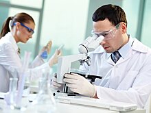 Ученые создали программу по поиску общих мутаций у возбудителей инфекций