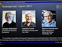 "Нобель" по химии присужден за криоэлектронную микроскопию