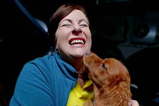 Экс-стюардесса стала водителем для питомцев и описала свой опыт фразой «все завидуют мне»