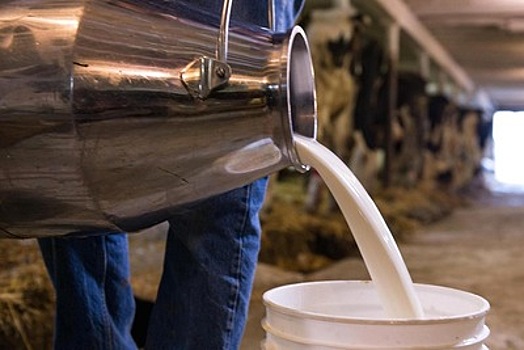 Валовый объем производства молока в Подмосковье вырос на 6% за две недели 2021 года