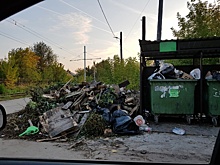 335 свалок выявлено в Нижнем Новгороде в 2021 году