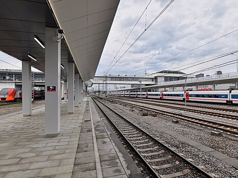 Дополнительные поезда запустят между Москвой и Брянской областью в ноябрьские праздники