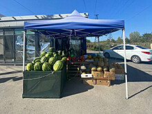 В Батайске составили 17 протоколов за неделю за несанкционированную торговлю
