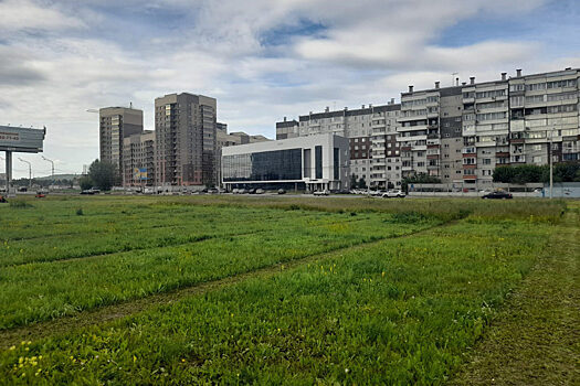 В Красноярске выберут лучших косарей