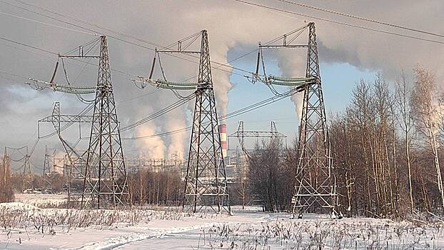 Эксперты дали советы, как справиться с грядущими арктическими морозами