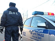 Госавтоинспекция ЗАО г. Москвы проводит окружной рейд «Маленький пешеход»