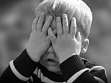 Мальчик громко кричал: СК начал проверку после информации о ребенке, на которого напала его мать