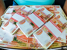Вологодские НКО получат 50,5 млн рублей федеральных средств на свои проекты