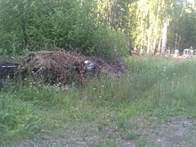 Тюменское кладбище довели до критического состояния