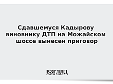 Сдавшемуся Кадырову виновнику ДТП на Можайском шоссе вынесен приговор