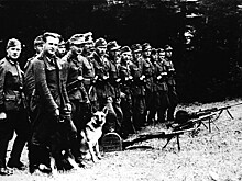 Во Львовской области объявили 2022-й годом украинских коллаборационистов