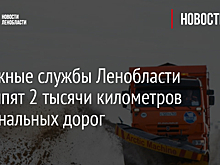 Дорожные службы Ленобласти подсыпят 2 тысячи километров региональных дорог