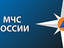 МЧС Москвы продолжает занятия в онлайн-формате