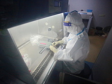 ВОЗ прокомментировала данные о сделке с Китаем о происхождении COVID-19