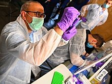 Главное о коронавирусе на 21 апреля: исчезновение штамма "дельта" в России, сосуществование Европы с COVID-19