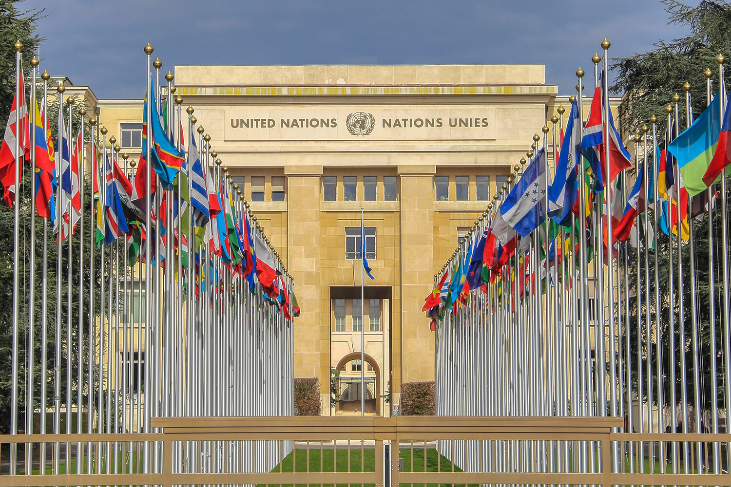 Рогов: прислуживание коллективному Западу сыграло с ООН злую шутку