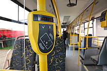 В Подмосковье определили эксклюзивного оператора рекламы на автобусах