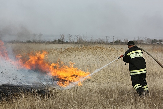 Почему на Юге России не удается решить проблему со сжиганием стерни на полях