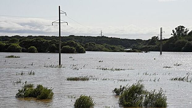 Несколько десятков человек эвакуированы из-за паводка в Приморье