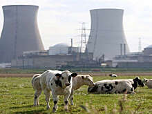 Аналитик Кондратьев оценил расходы ЕС на атомную диверсификацию в €1 трлн