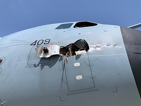 Птица повредила военный самолёт