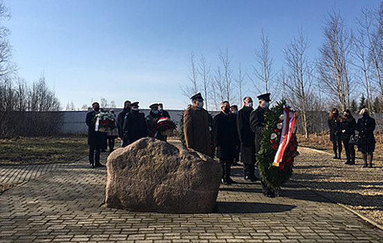 Польские дипломаты возложили венки на месте крушения самолета Ту-154М под Смоленском