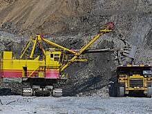 Китайские инвесторы получат всего 15% "Полюса"