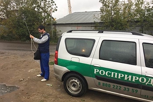 Росприроднадзор возбудил дела из-за выбросов сероводорода в Москве
