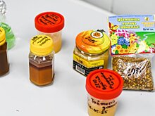 Метод разоблачения фальшивого меда и его географического происхождения разработали в ИМКЭС СО РАН