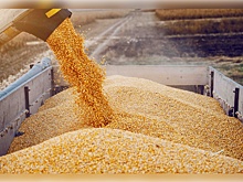 В Минсельхозе рассказали о рекордных объемах экспорта зерна по итогам прошлого года