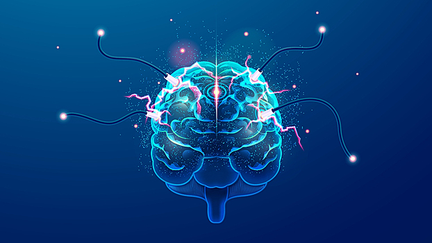 Ученым удалось замедлить старение, стимулируя особые нейроны в мозге