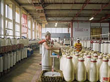 Красноярские производители молока получат господдержку на 380 миллионов рублей