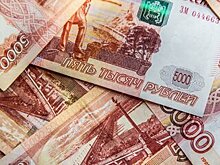 Депутат МГД Русецкая: Москва продолжит оказывать поддержку социально ориентированным НКО