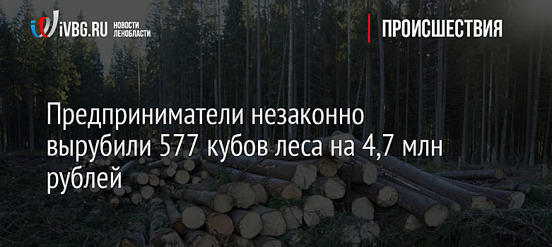 Предприниматели незаконно вырубили 577 кубов леса на 4,7 млн рублей