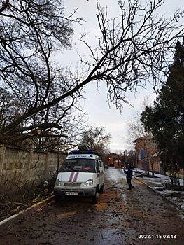 Деревья, ветки и обломки: в Ростове ликвидируют последствия урагана