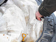 В каких случаях подкапотное одеяло бесполезно