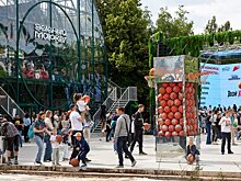 Мастер-классы и образовательные мероприятия пройдут на Болотной площади