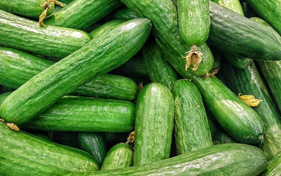 Рязанский Роспотребнадзор указал на продажу фальсификата овощей