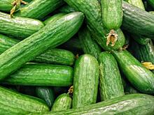 Рязанский Роспотребнадзор указал на продажу фальсификата овощей