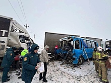 В ДТП с участием автобуса в Омской области погибли шесть человек