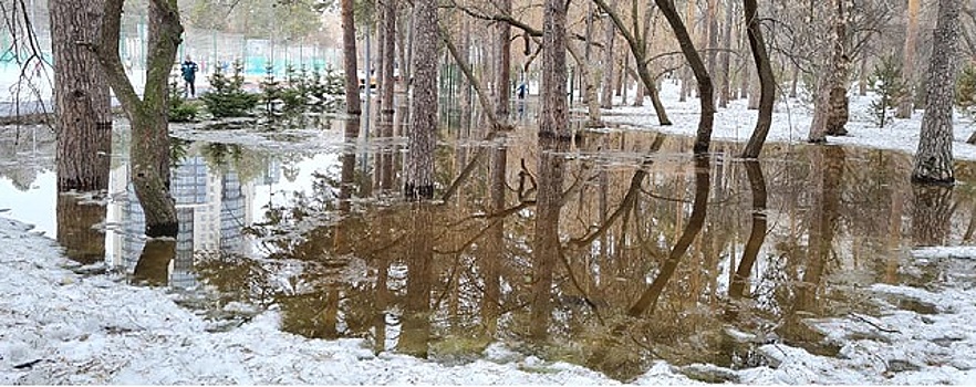 Не стоит волноваться: в Екатеринбурге затопило парк «Зеленая роща»