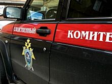 Председателю СК России доложат о ходе проверки по факту невыплаты зарплаты работникам предприятия в Новошахтинске