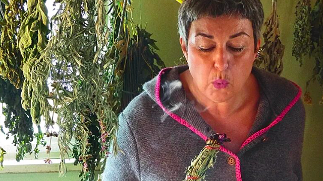 Растения и травы, выгоняющие негативную энергию из дома