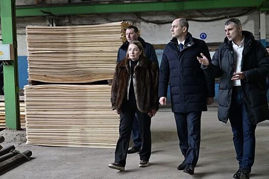 Денис Паслер обозначил ключевые направления развития Тавды