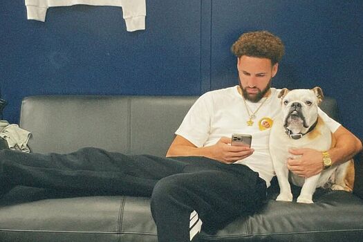 Звёздный бульдог Клэя Томпсона скончался в возрасте 13 лет