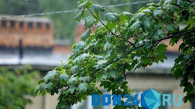 В понедельник в Ростове ожидаются дождь и туман